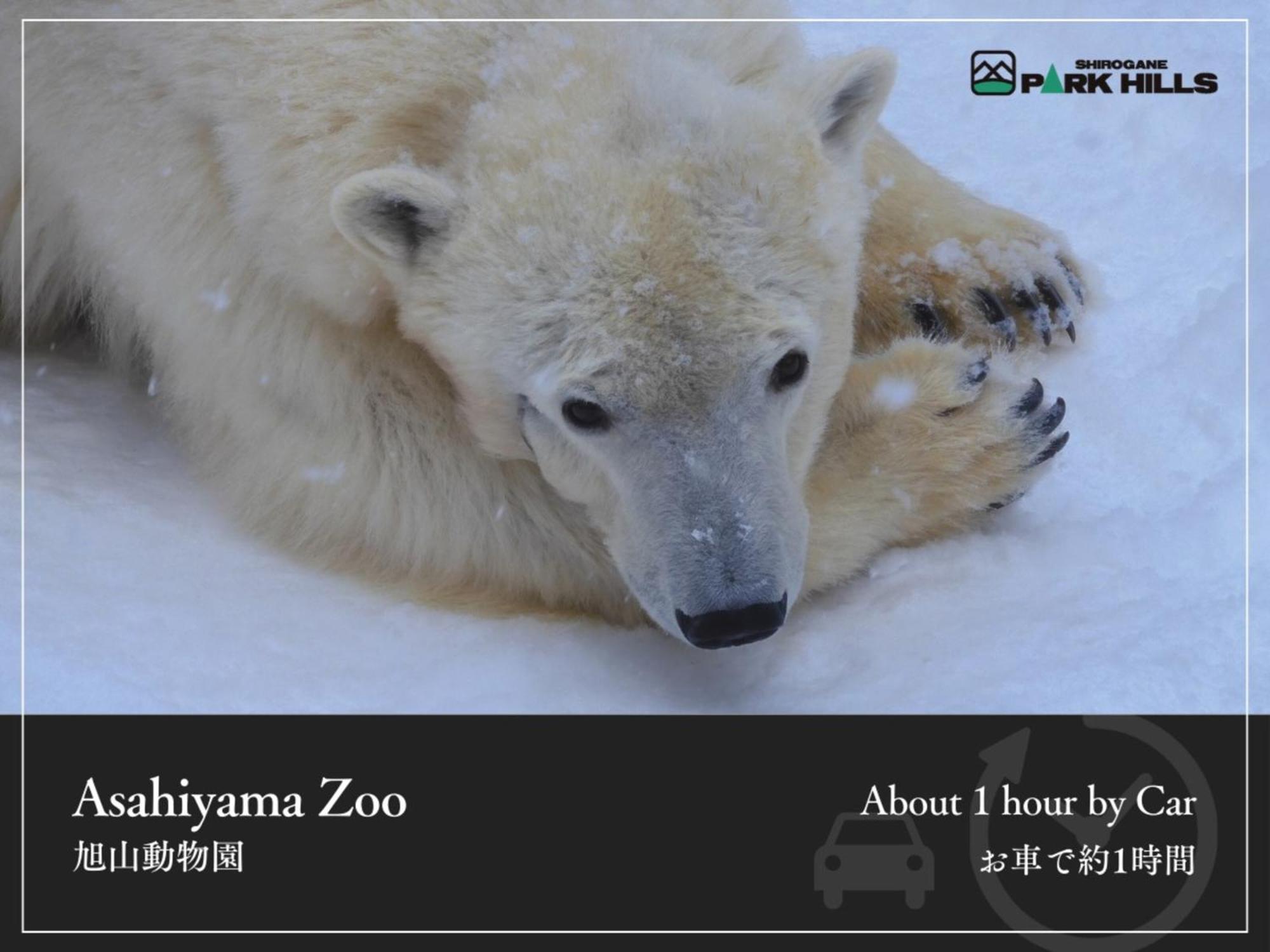 Biei Shirogane Onsen Hotel Park Hills Exterior foto
